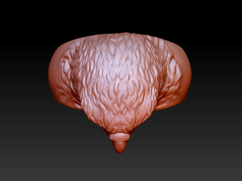 Eagle Ring Model Cetak 3D
