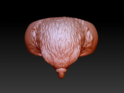 Eagle Ring 3D Print Model