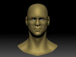 jim hight poly head 3D Model