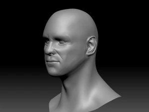 jim hight poly head 3D Model