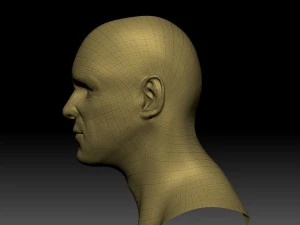 jim hight poly head 3D Model