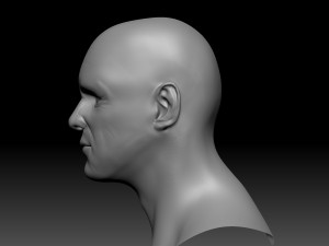 jim hight poly head Model 3D