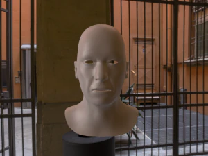 base mesh old head 3D Model