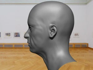 base mesh old head 3D Model
