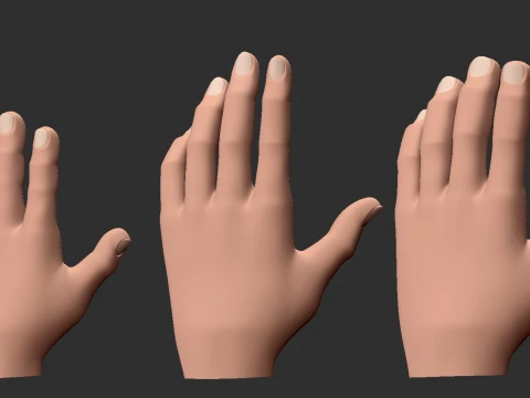 Mani 3D stilizzate Modello 3D