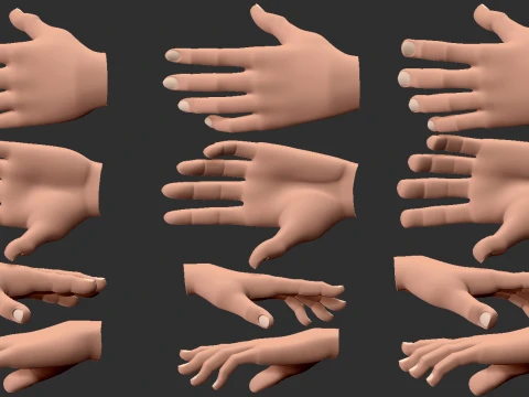 Stylized 3D Hands 3D Model
