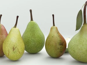 pear 3D Model