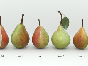 pear 3D Модель