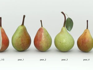 pear 3D Model