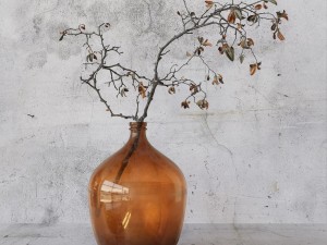 Branch in brown bottle 3D Model