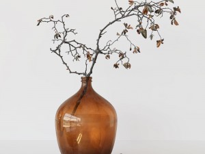 Branch in brown bottle 3Dモデル