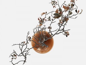 Branch in brown bottle 3Dモデル