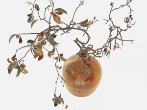 Branch in brown bottle 3Dモデル