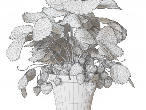 Strawberry in pot 3D Model
