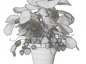 Strawberry in pot 3D Model