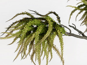 Decorative branches with green flowers 3D 模型