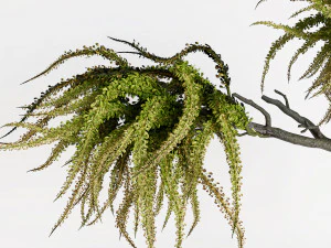 Decorative branches with green flowers 3D Model