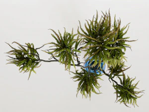 Decorative branches with green flowers 3D Model