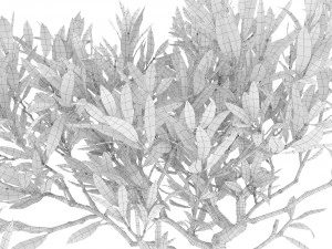 Olive tree in a basket 3D Model