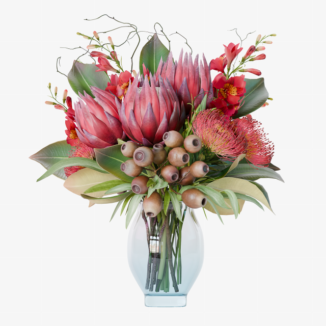 Bouquet of red protea flowers 3D 모델 .c4d .max .obj .3ds .fbx .stl .blend 