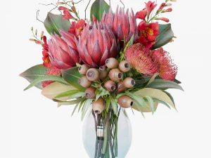 Bouquet of red protea flowers 3D Model