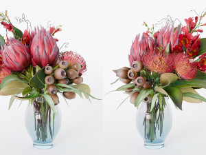 Bouquet of red protea flowers 3D 모델