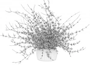 Bouquet of yellow flowers Forsythia 3D Model