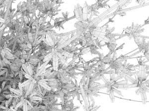 Bouquet of yellow flowers Forsythia Modèle 3D
