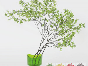 Decorative branch japanese maple 3D मॉडल