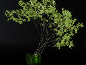 Decorative branch japanese maple Modelo 3D