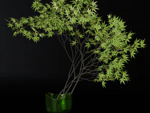 Decorative branch japanese maple 3D Model
