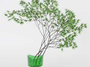 Decorative branch japanese maple Modelo 3D