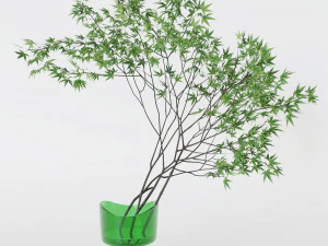 Decorative branch japanese maple 3D Model