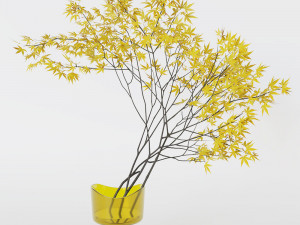 Decorative branch japanese maple Modelo 3D
