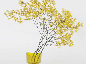 Decorative branch japanese maple 3D Model