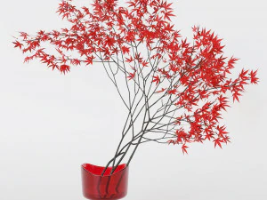 Decorative branch japanese maple 3D Model