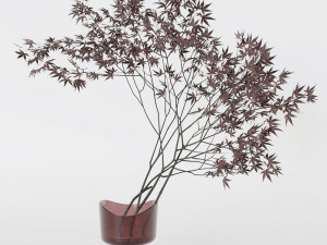 Decorative branch japanese maple Modelo 3D