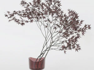 Decorative branch japanese maple 3D Model