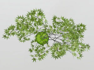 Decorative branch japanese maple 3D Model