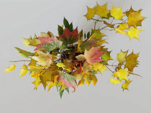 Autumn bouquet 3D Model