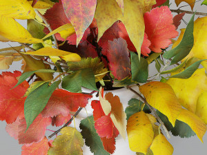 Autumn bouquet 3D Model