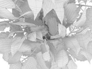 Autumn bouquet 3D Model