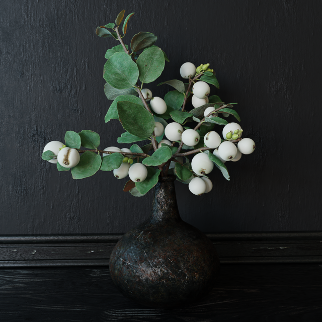 Snowberry branch in vase Modello 3D .c4d .max .obj .3ds .fbx .stl .blend 