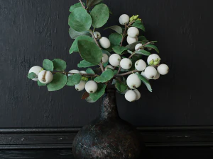 फूलदान में स्नोबेरी शाखा 3D मॉडल