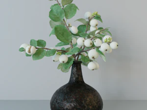 Snowberry branch in vase 3D Model