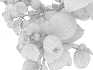 Snowberry branch in vase 3D Model
