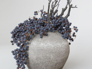 Decor dry grape in ceramic vase 3D मॉडल