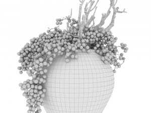 Decor dry grape in ceramic vase Model 3D