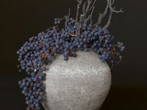 Decor dry grape in ceramic vase Model 3D