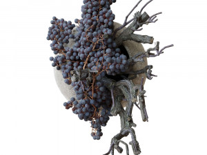 Decor dry grape in ceramic vase Model 3D